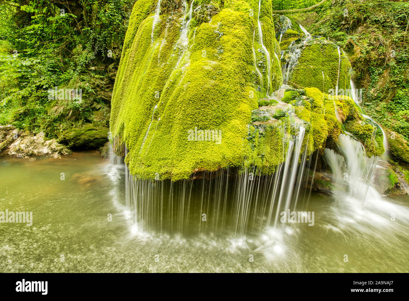 Bigar Waterfall, Unique mossy waterfall in Cheile Nerei-Beusnita National Park, Romania, Caros Severin Region Stock Photo