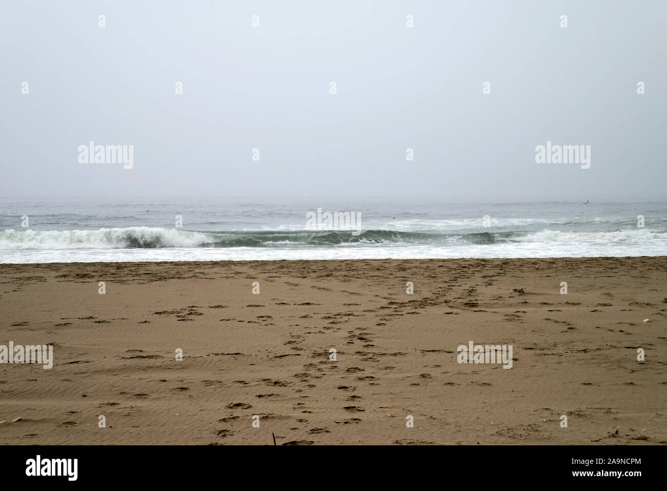 Point reyes san francisco hi-res stock photography and images - Alamy