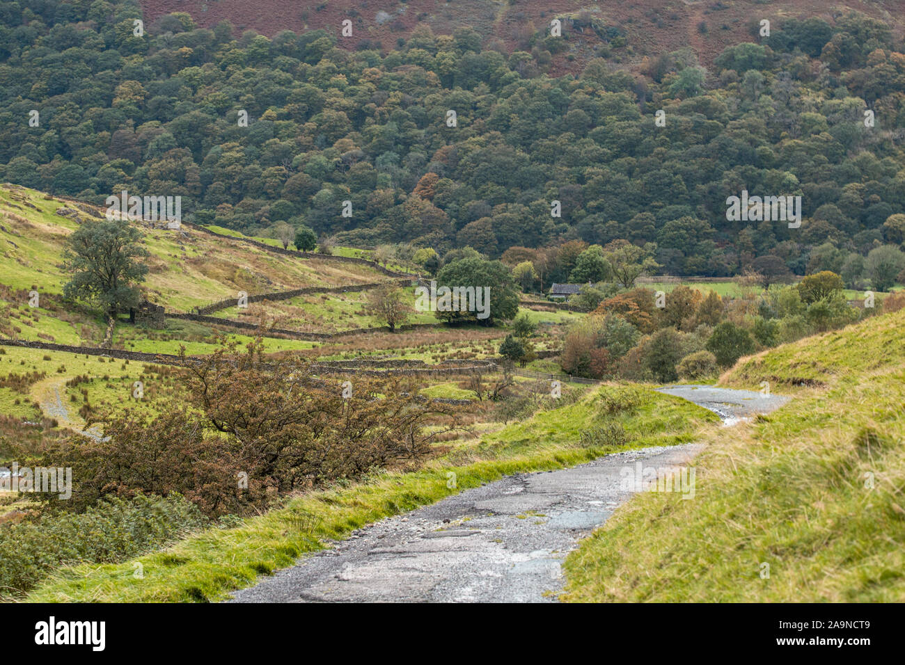 Scenic countryside road across Hartsop Valley at autumn in Lake District National Park, UK Stock Photo