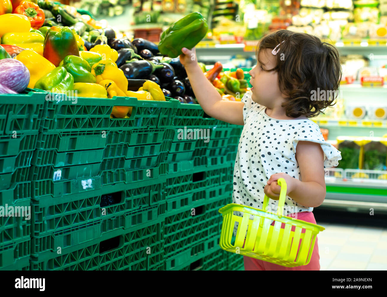 Child shopping peppers in supermarket. Concept for buying fruits and vegetables in hypermarket. Little girl hold shopping basket. Stock Photo