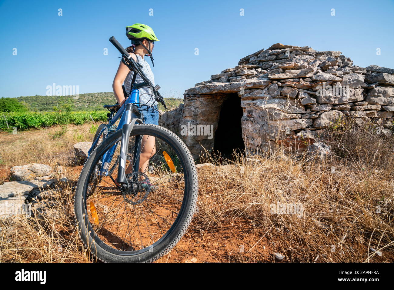 world traveler bicycle
