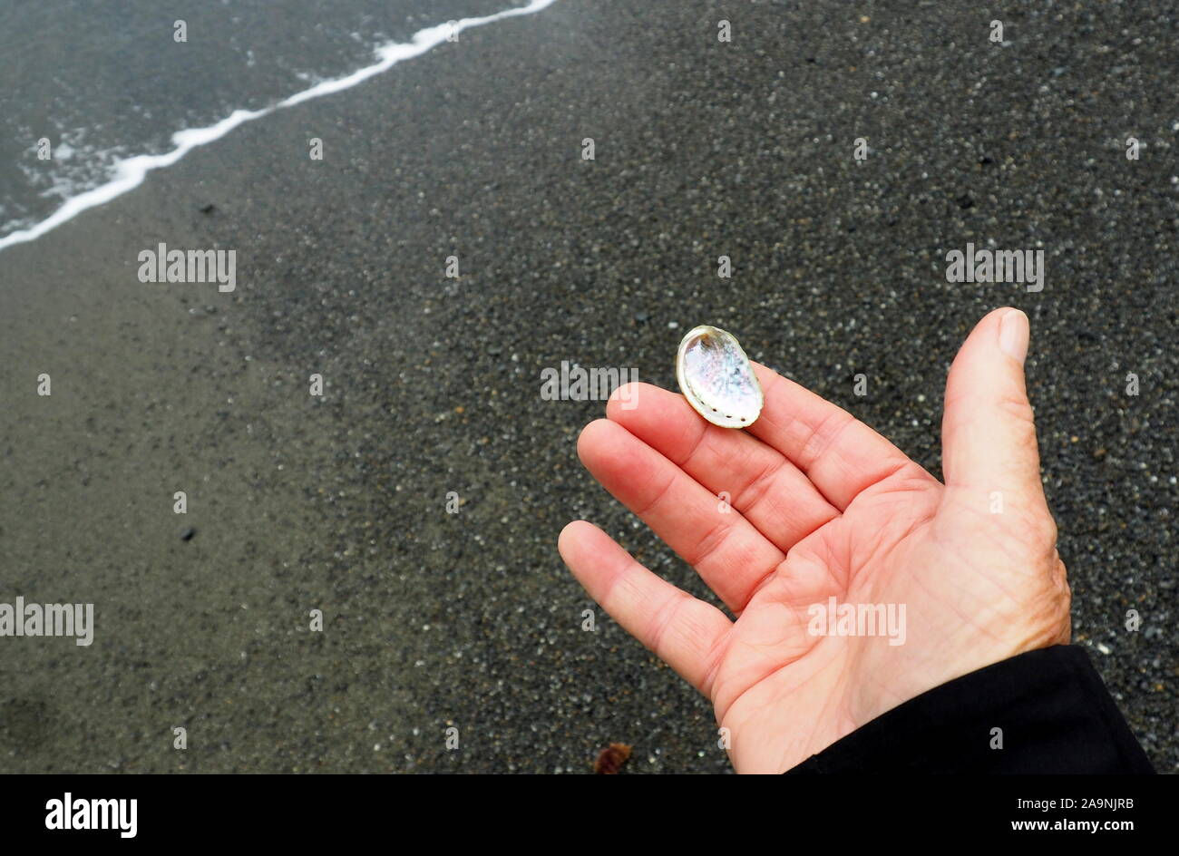 A tiny paua (abalone) shell, held on a New Zealand beach Stock Photo