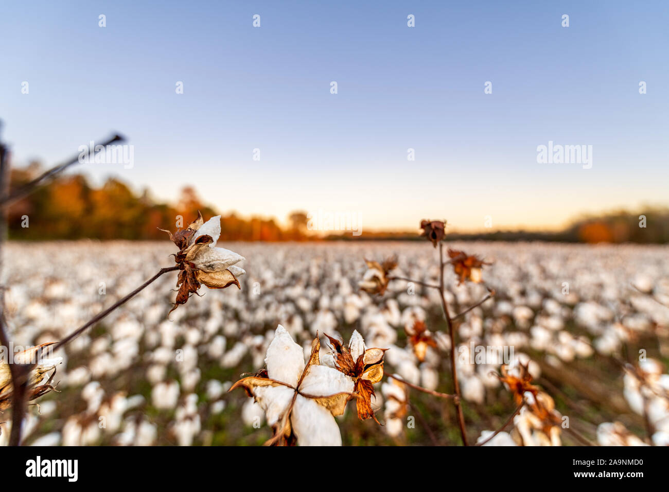Suffolk virginia hires stock photography and images Alamy