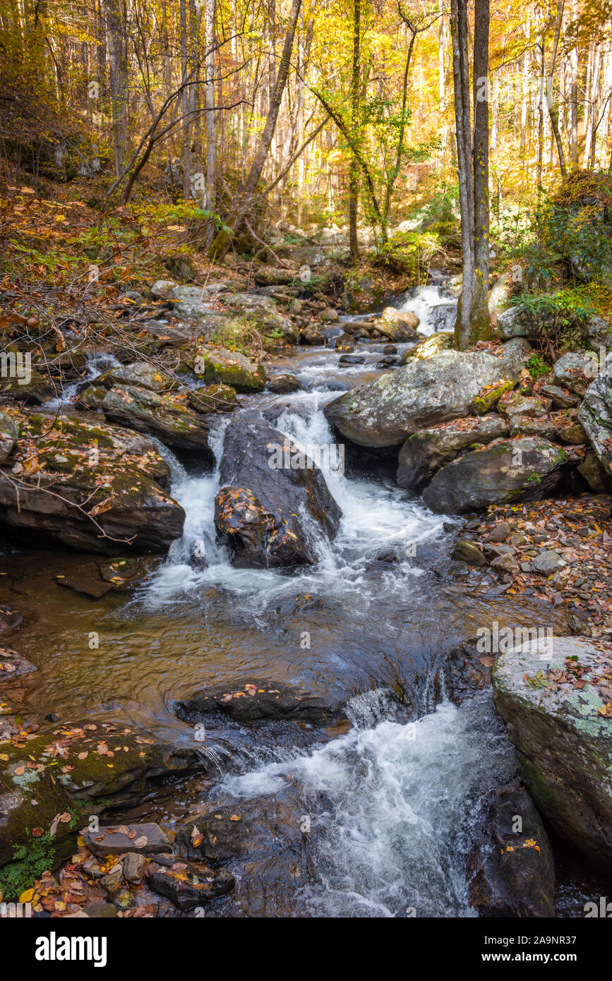 Smith Creek, downstream from Anna Ruby Falls near Unicoi State Park in Helen, Georgia. (USA) Stock Photo