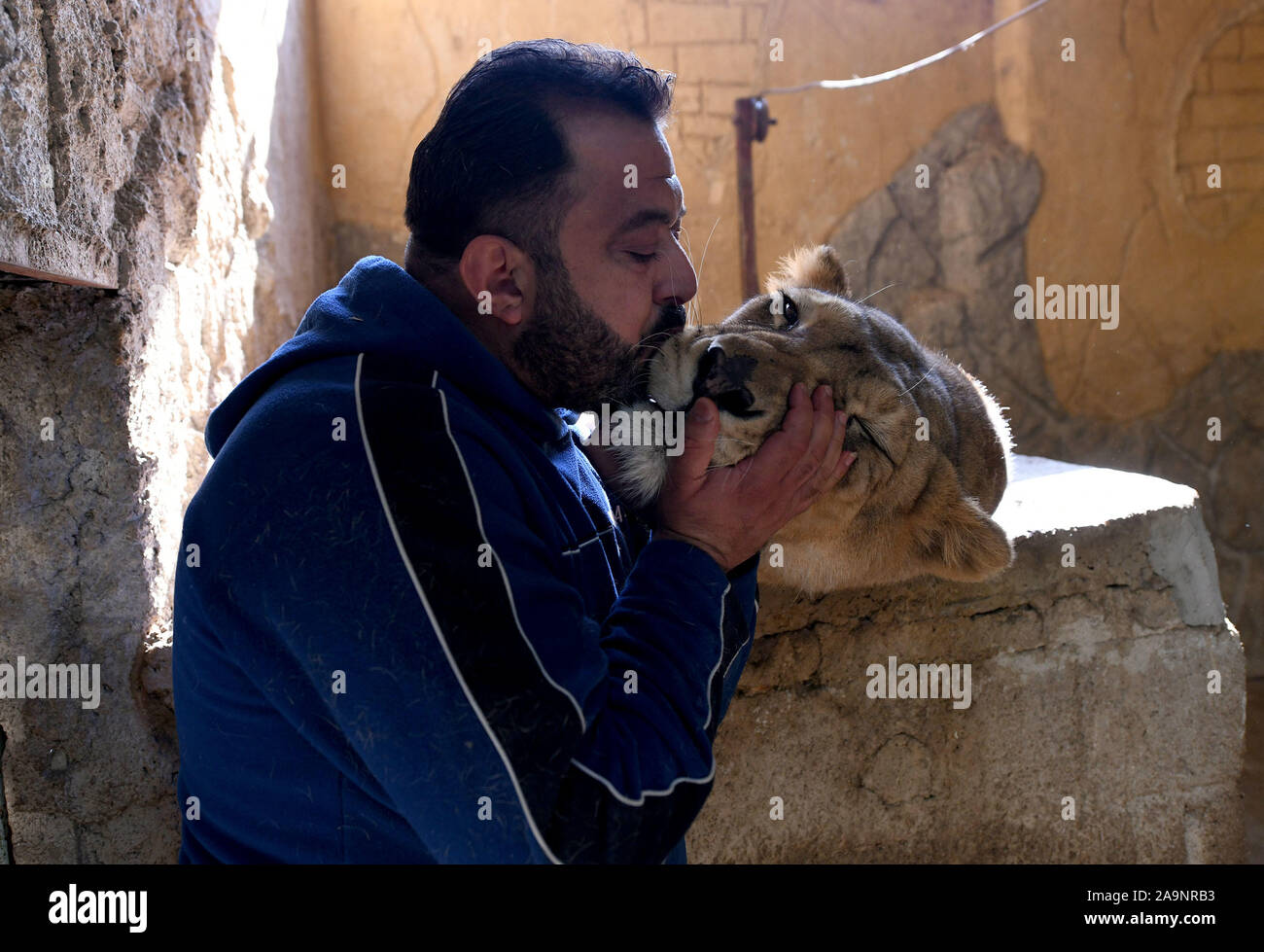 Beijing, Syria. 11th Nov, 2019. Samer al-Homsi, a 43-year-old animal collector, kisses a lioness at his private zoo in Jaramana, suburb of Damascus, Syria, on Nov. 11, 2019. Credit: Ammar Safarjalani/Xinhua/Alamy Live News Stock Photo