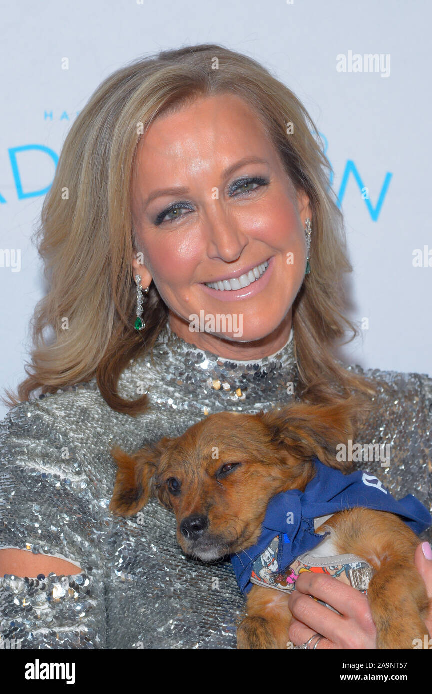 New York, United States. 15th Nov, 2019. Lara Spencer attends the North