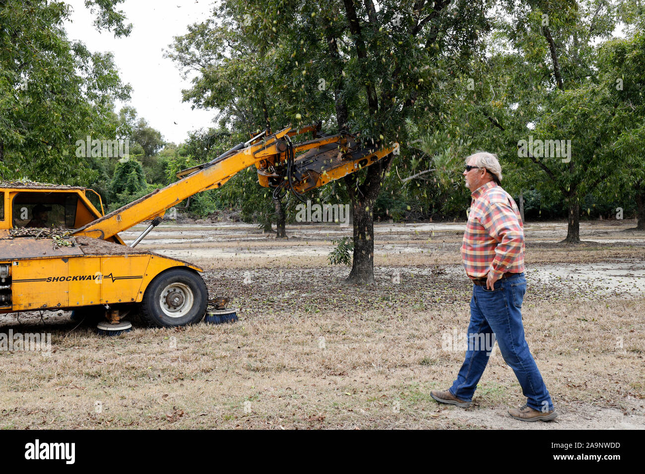 New York, USA. 24th Oct, 2019. Pecan grower Randy Hudson is pictured as