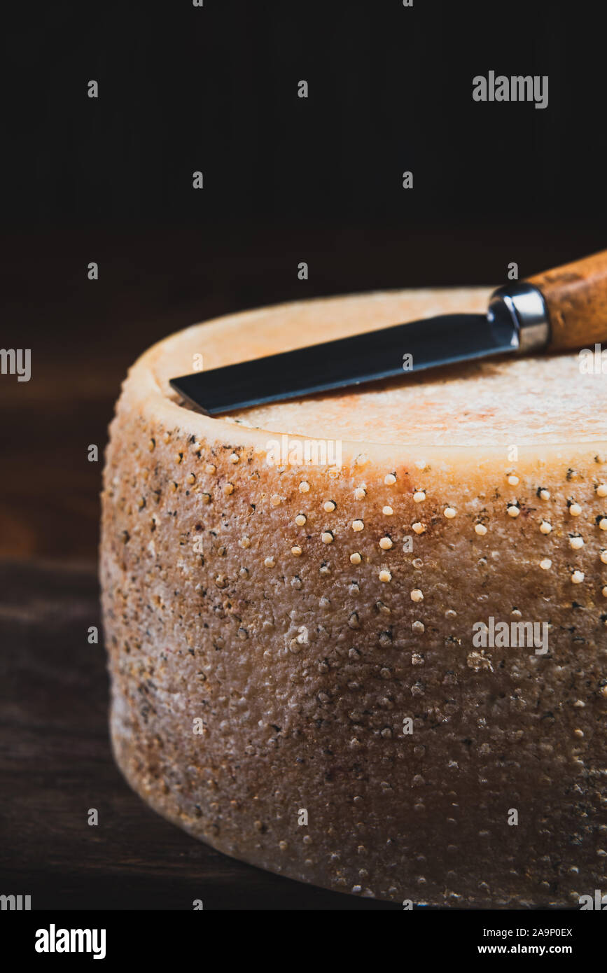 Hard Cheese Wheel Matured in Diary Cellar with Cheese Knife. Stock Photo