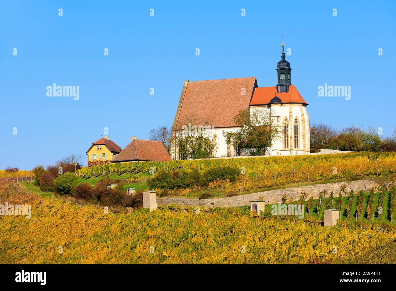 Pilgrimage church Maria im Weingarten, Volkach, Lower Franconia, Franconia, Bavaria, Germany Stock Photo