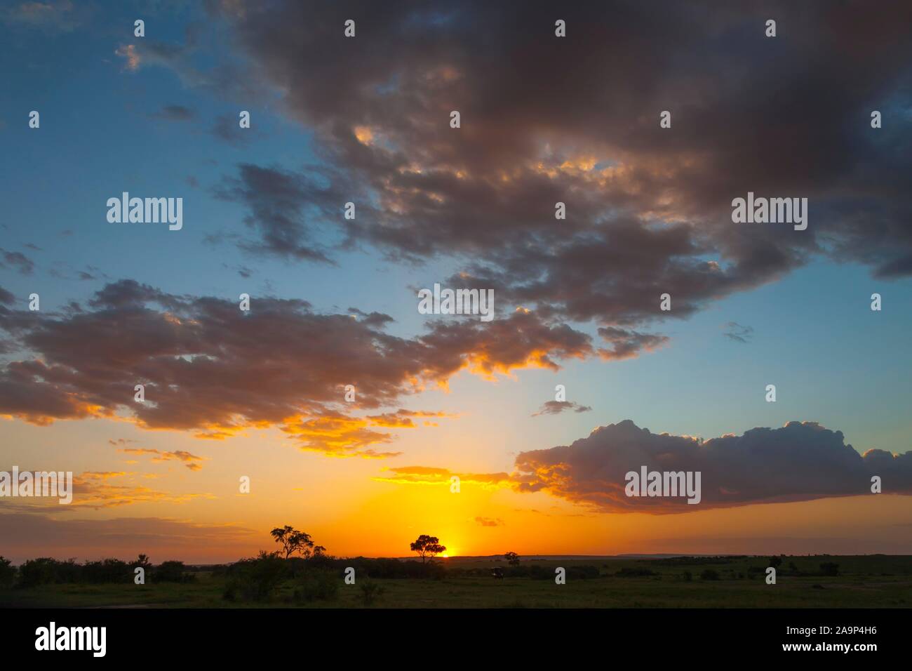 Sunset masai mara kenya masai hi-res stock photography and images - Alamy