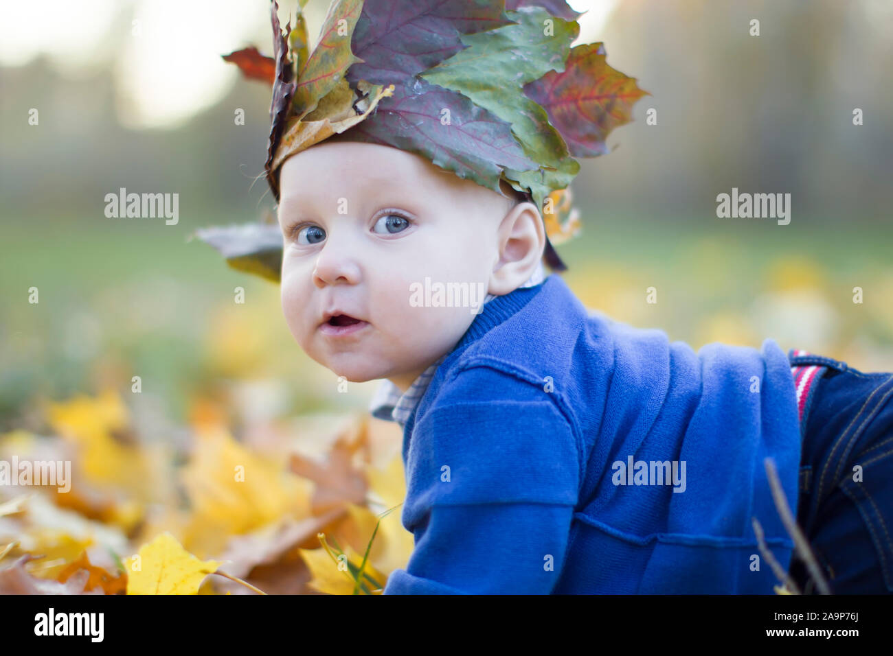 Toddler in the autumn leaves. Beautiful little baby in yellow maple foliage.1 year old baby wearing a maple leaf crown Stock Photo