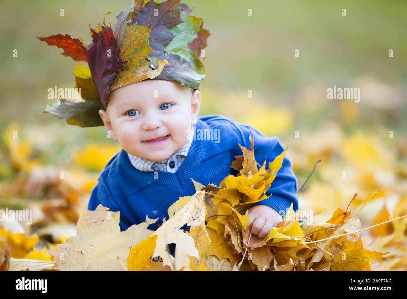 Toddler in the autumn leaves. Beautiful little baby in yellow maple foliage.1 year old baby wearing a maple crown Stock Photo