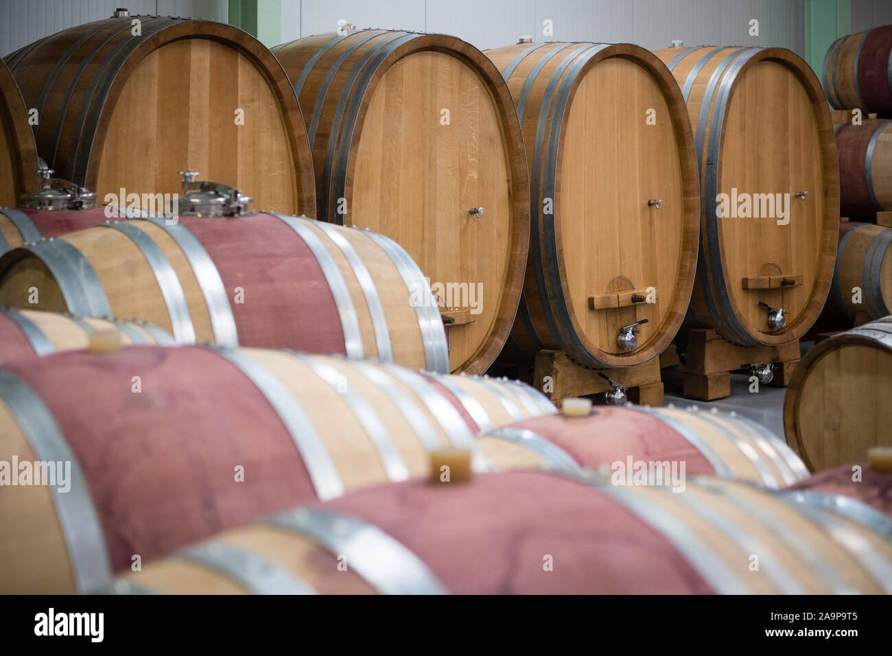 Wooden wine barrels for storage in wine cellar Stock Photo Alamy