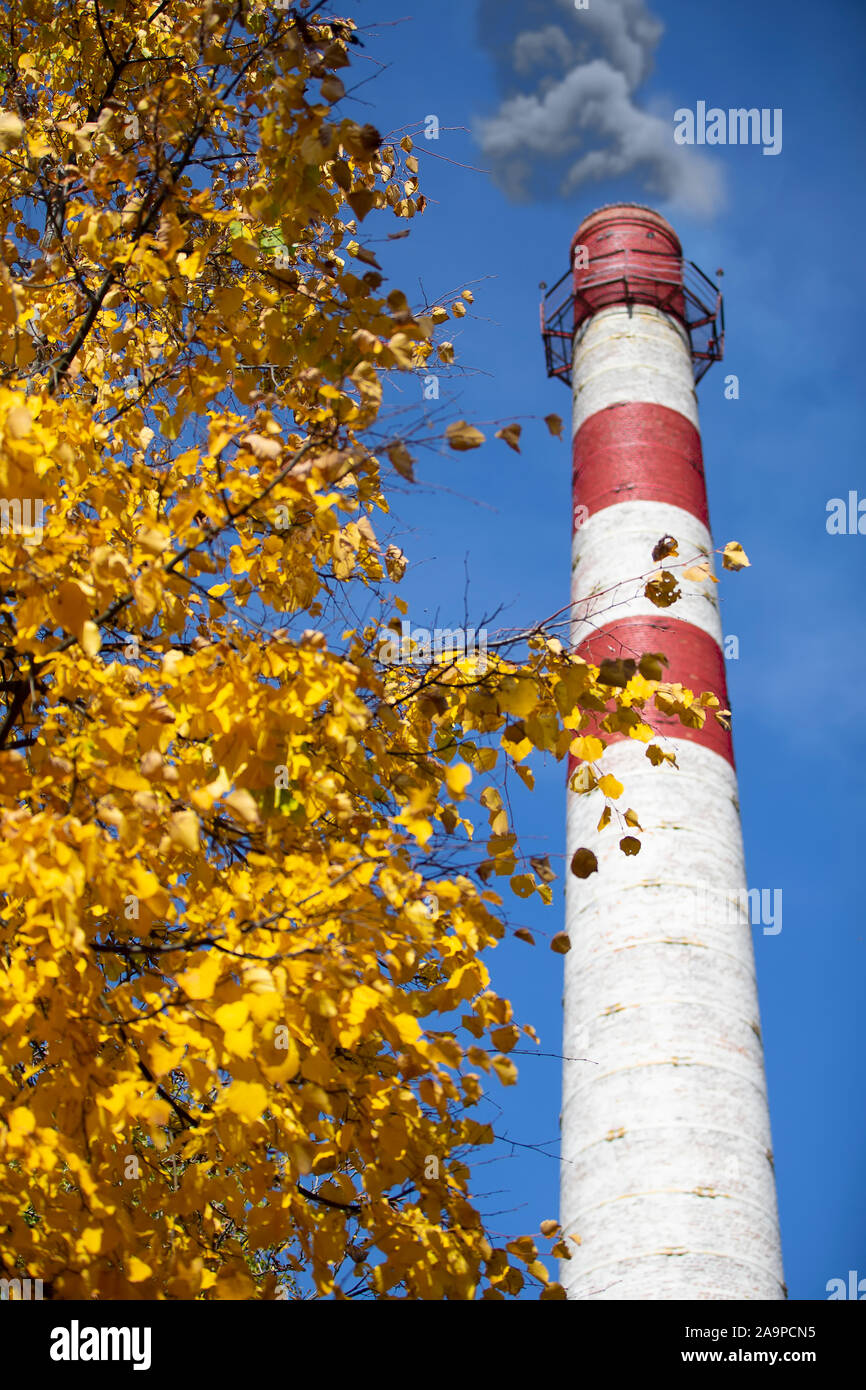 Vertical pipe of a plant with smoke on a background of trees Stock Photo