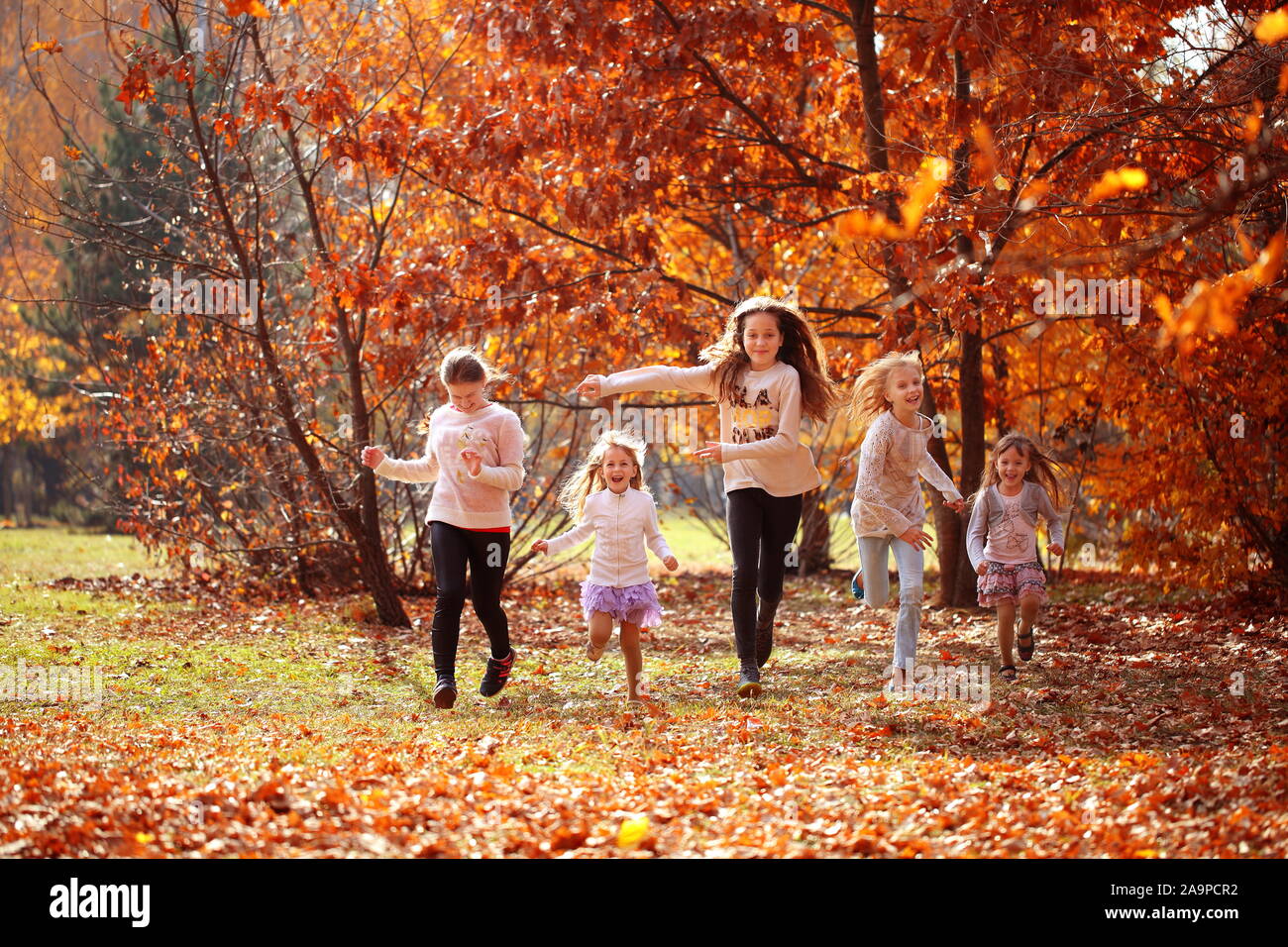 Happy kids run in the autumn park Stock Photo - Alamy