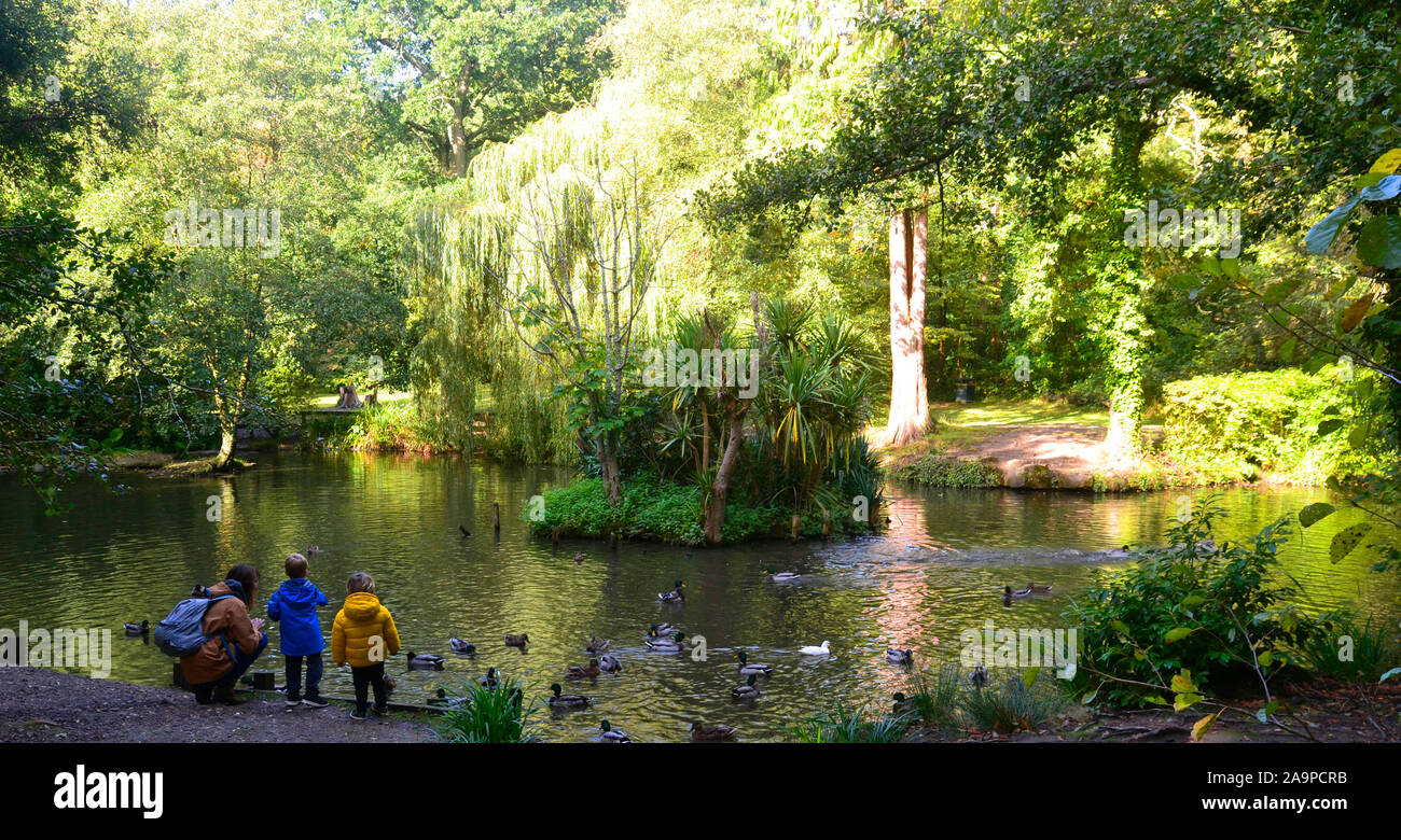 Holly Hill Woodland Park, Fareham, Southampton, Hampshire, UK Stock Photo