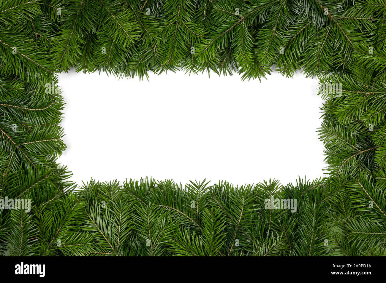 Christmas border arranged with fresh fir branches isolated on white ...