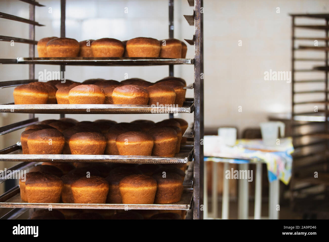 https://c8.alamy.com/comp/2A9PD46/industrial-production-of-bread-lots-of-baked-goods-on-pallets-freshly-baked-bun-bakery-2A9PD46.jpg