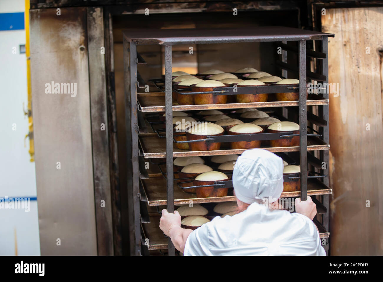 Industrial bread baking hi-res stock photography and images - Page 7 - Alamy