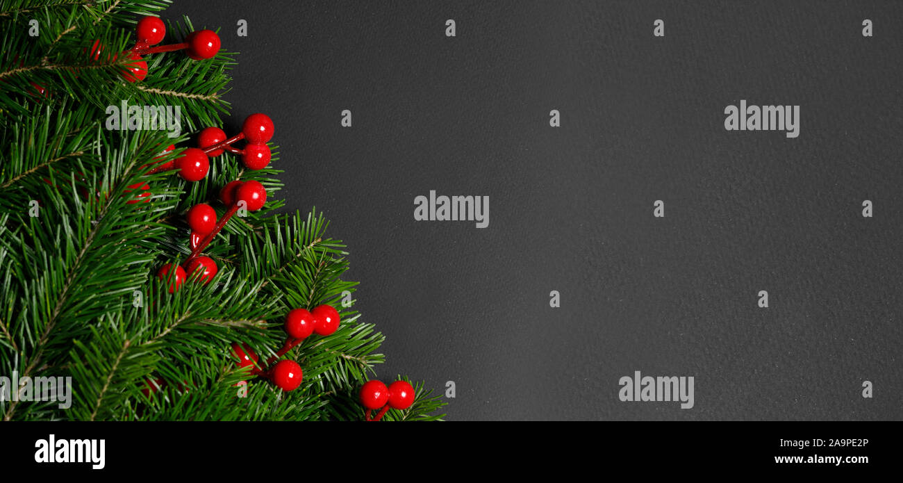 Christmas border arranged with fresh fir branches and red berries on ...