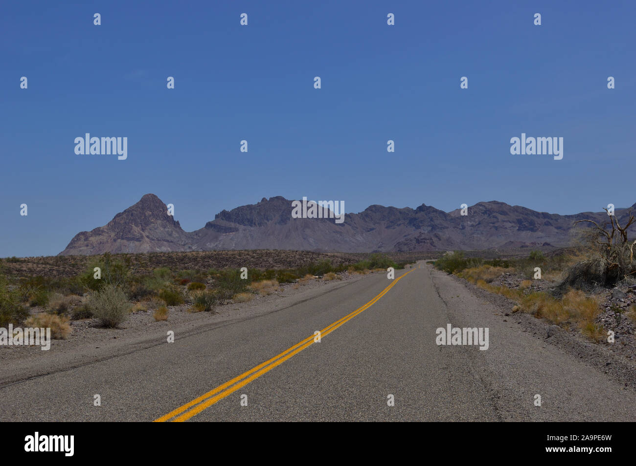 Oatman, Arizona, USA July 2018 Iconic images of the famous and