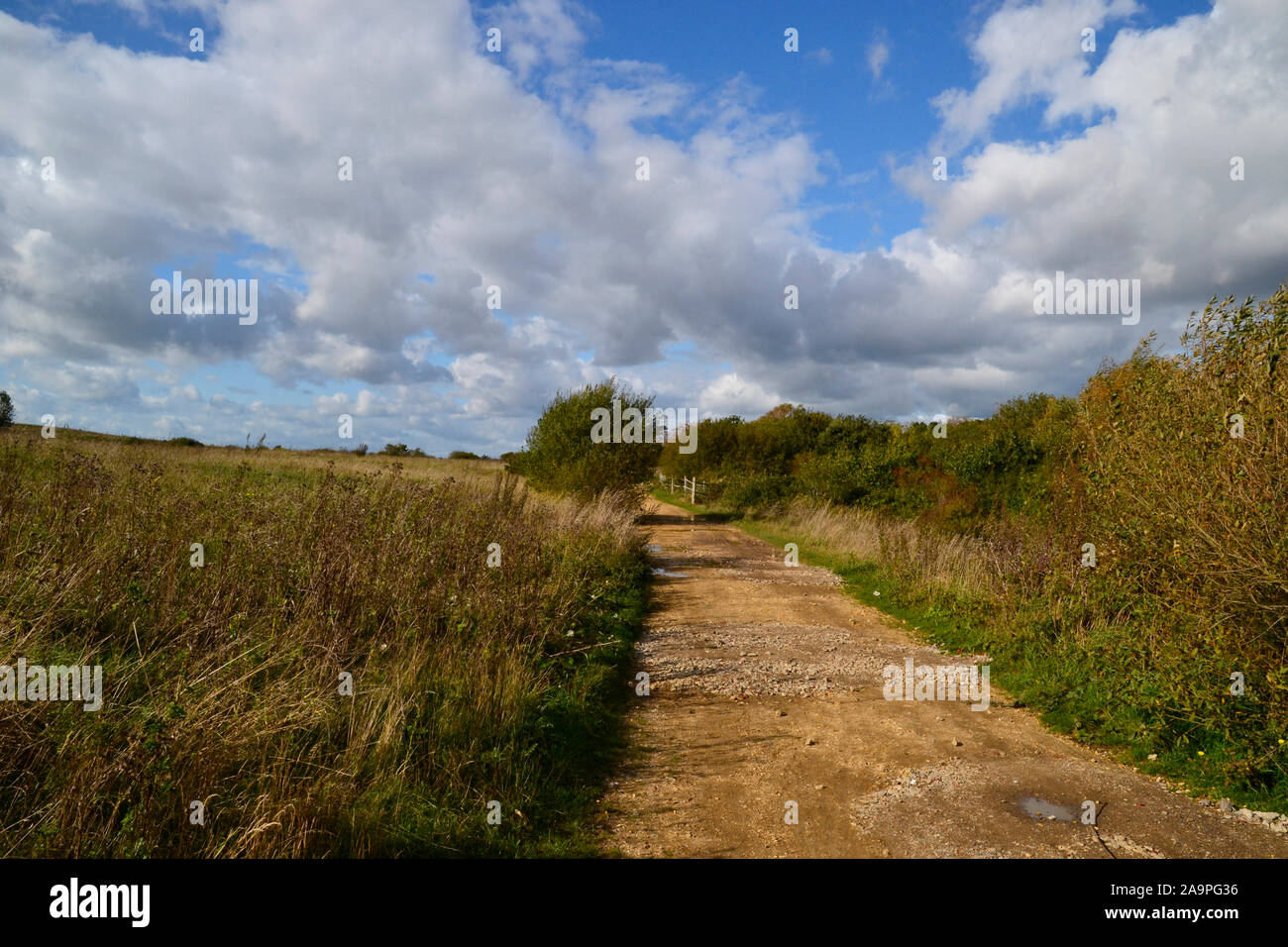 Path through Alver Valley Country Park, Gosport, Hampshire, UK Stock Photo