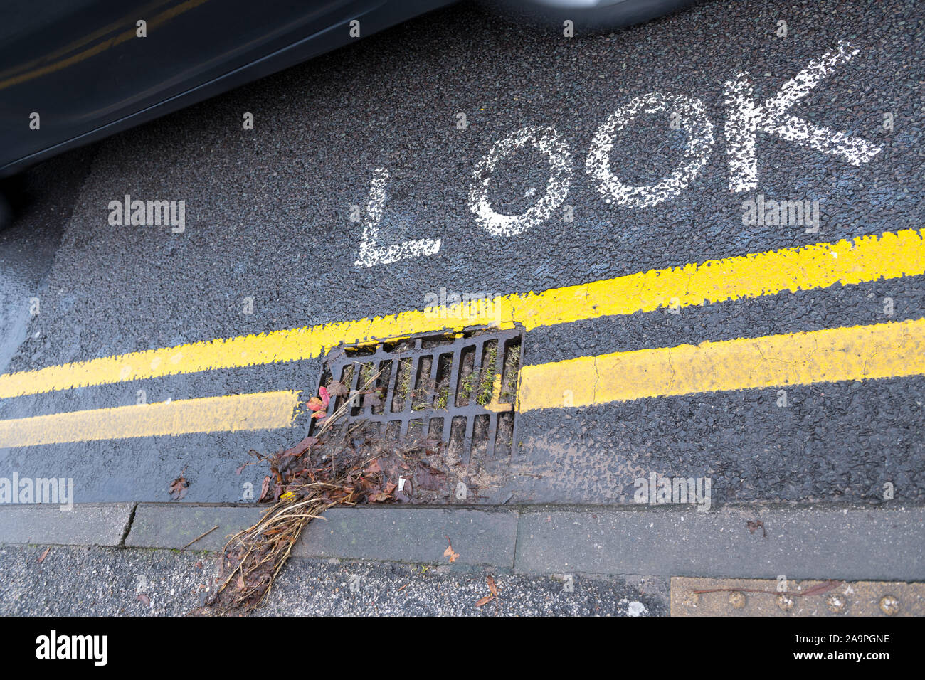 Roadside metal drainage blocked with leaves and twigs. Stock Photo