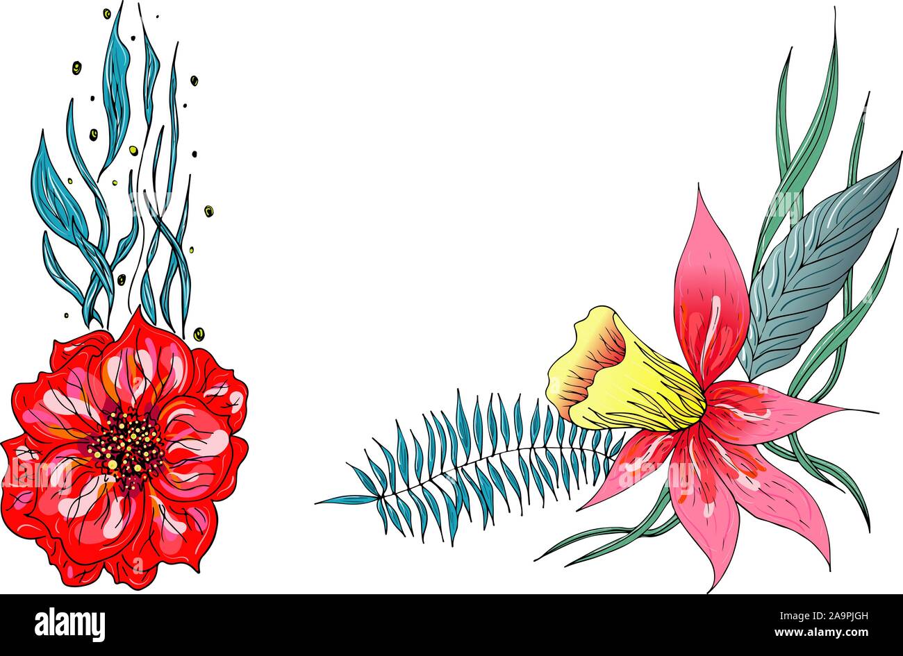 Set of two summer colorful tropical flowers. Floral botanical flower ...