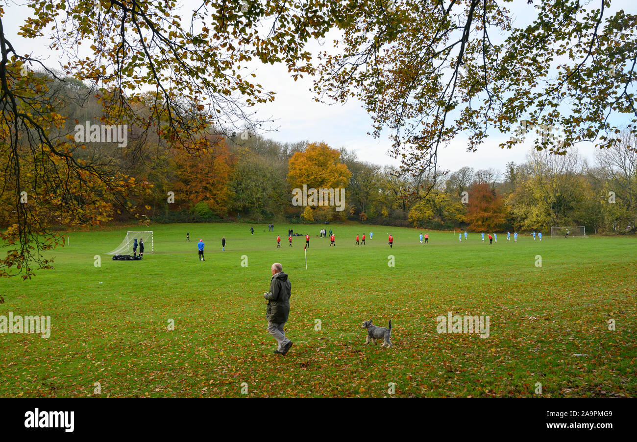Brighton UK 17th November 2019 - One man and his dog walk past The Castle Club (in blue) taking on Broadwater (red) in a local amateur football match against a backdrop of Autumn colours on a cold dry day at Patcham on the outskirts of Brighton. Other parts of Britain are still experiencing wet weather with more rain forecast for the next few days . Credit: Simon Dack / Alamy Live News Stock Photo