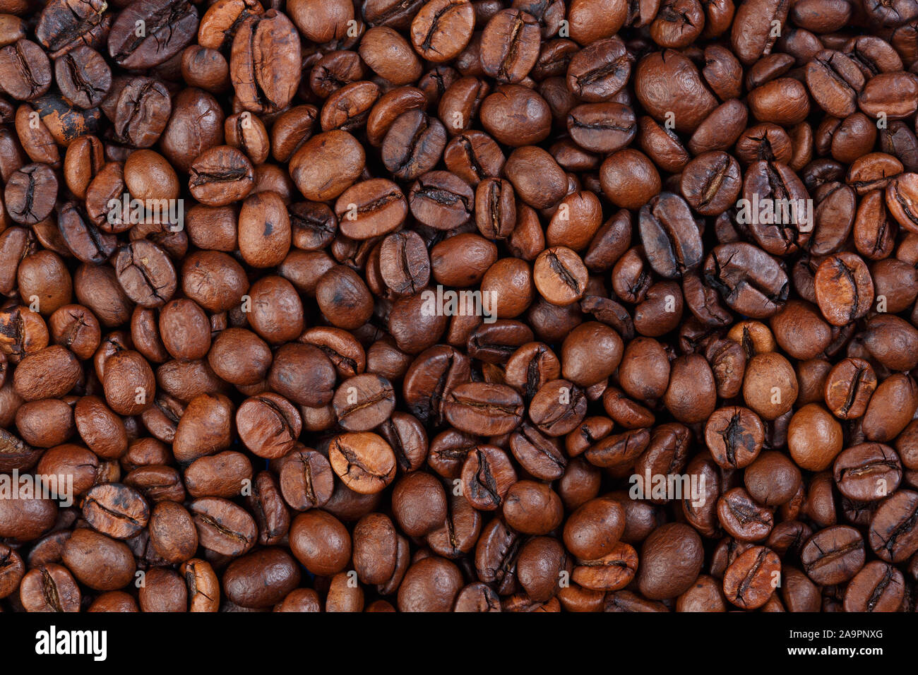 Texture of Togo Robusta gourmet coffee close-up . Stock Photo