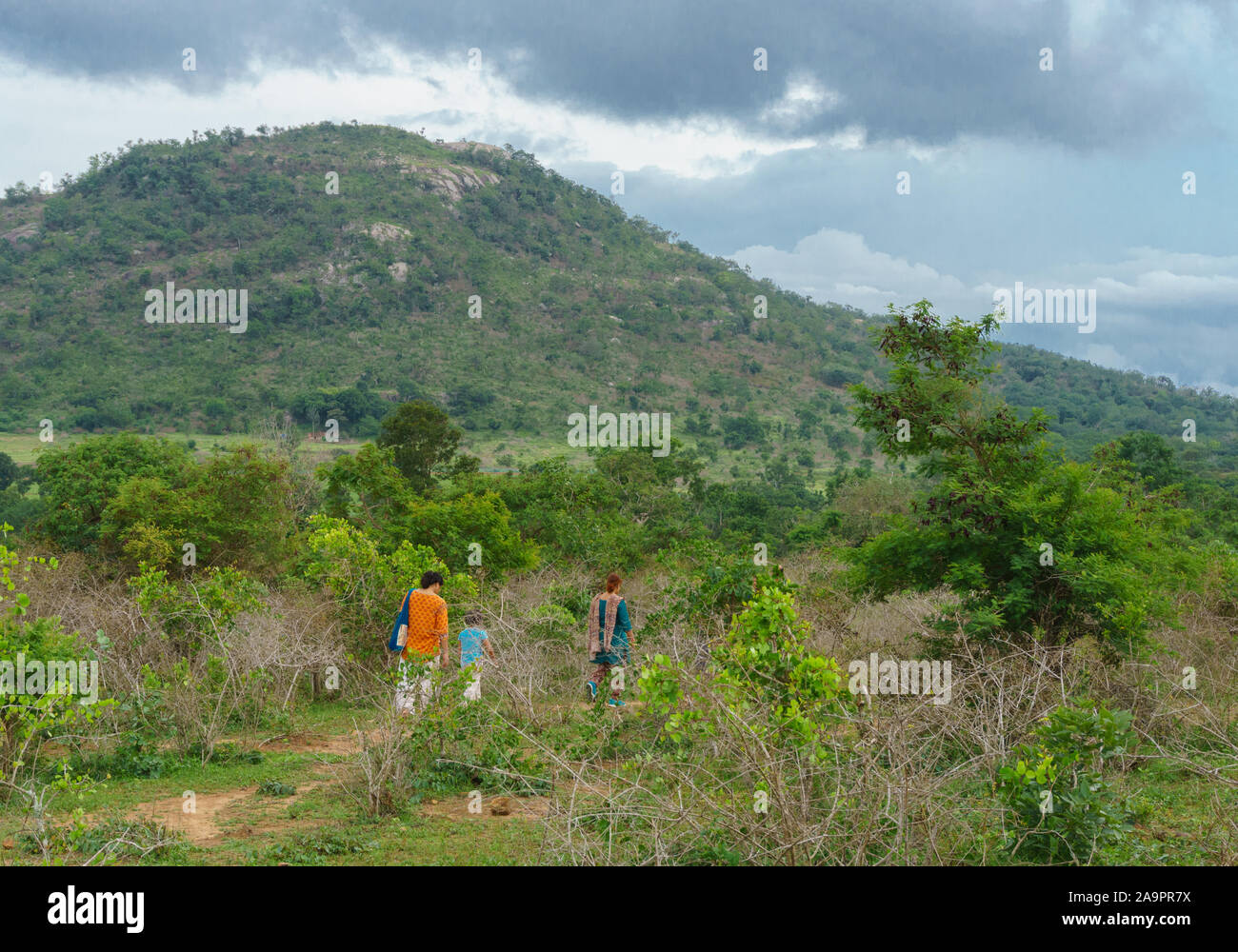 A Group of Travellers walking along a trail traversing through a meadow - photographed at the outskirt of Bandipur National Park (Karnataka, India) Stock Photo