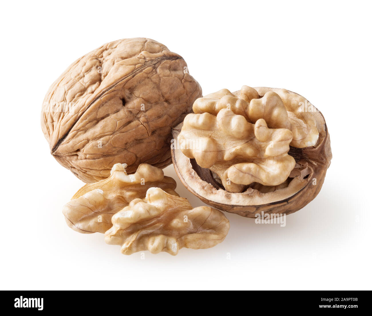 Walnuts isolated on white background with clipping path Stock Photo