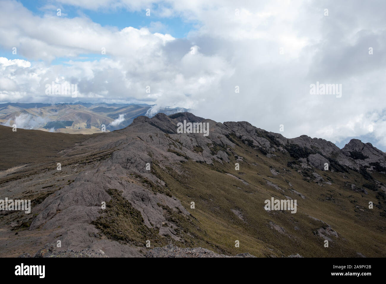 Paramo in the Chimborazo Reserve (Reserva de Producción de Fauna