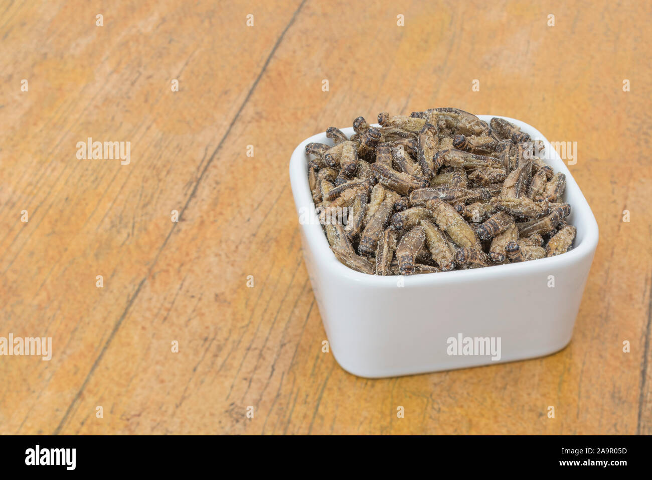 Edible insects - salted Small Crickets possibly Gryllus assimilis - on faux wood b/gd. Entomophagy, edible bugs, insect superfoods, insects as food. Stock Photo