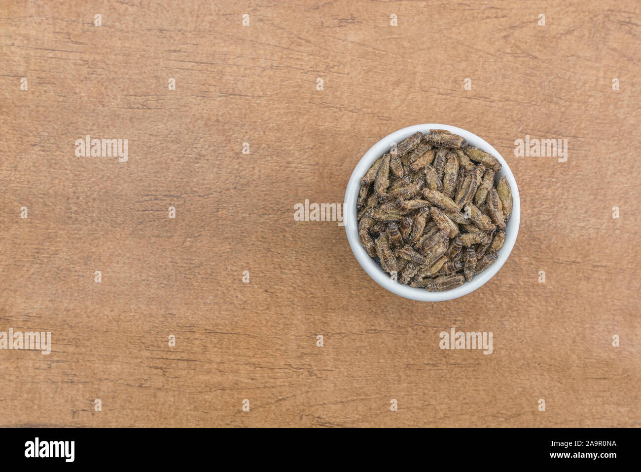 Edible insects - salted Small Crickets possibly Gryllus assimilis - on faux wood b/gd. Entomophagy, edible bugs, insect superfoods, insects as food. Stock Photo
