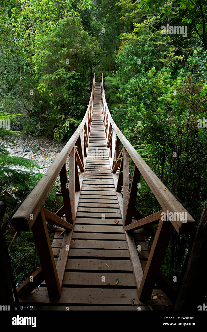Suspension wooden bridge at the 'sendero de Alerces', Pumalin Park, Magallanes, Chile. Stock Photo