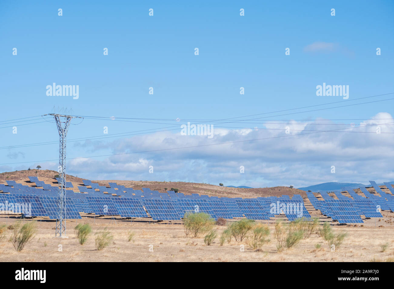 solar panels with tracker field for generating sustainable energy with an electric mast in the foreground for transporting the generated electricity, Stock Photo