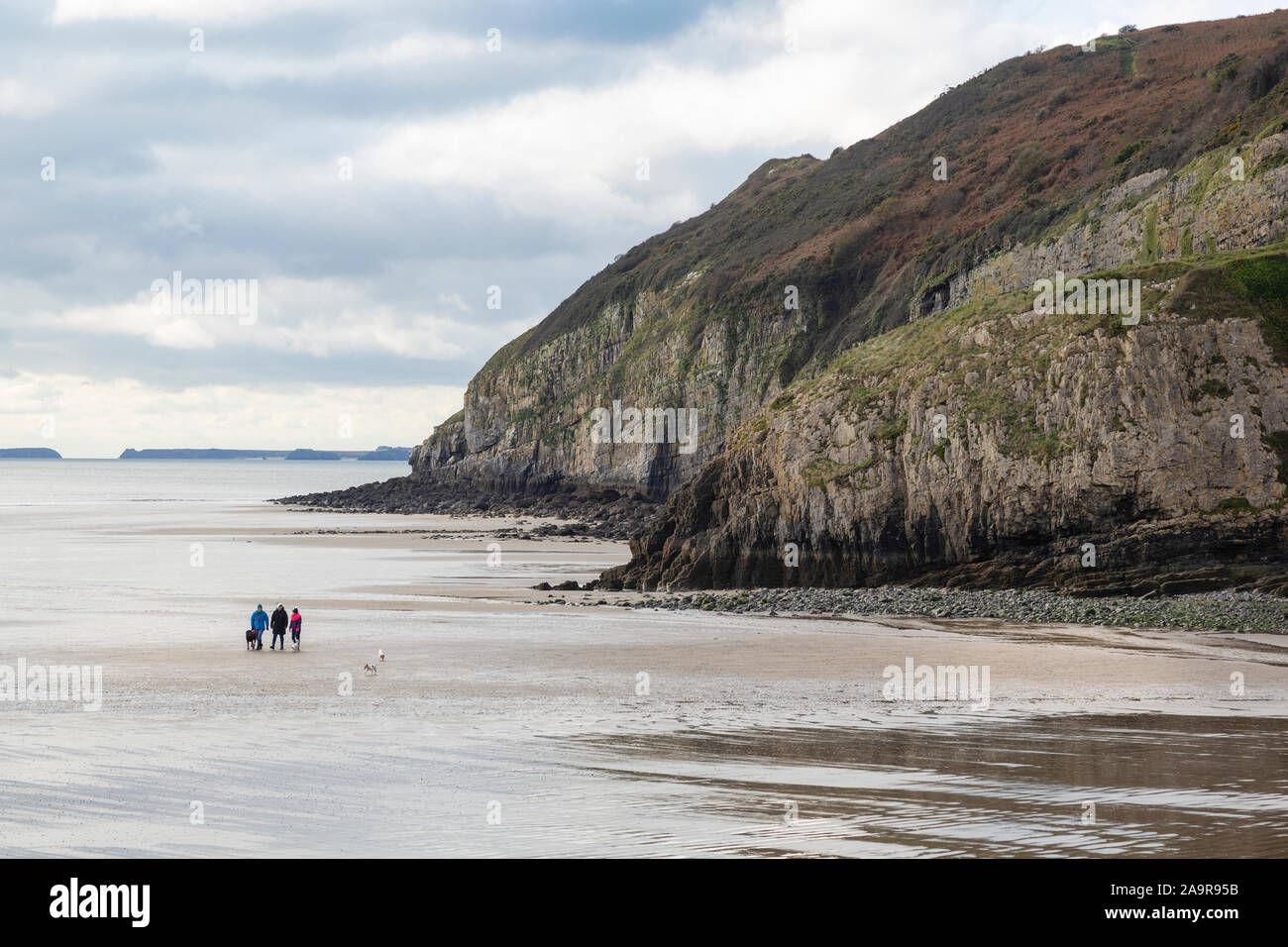 Pendine Sands, Carmarthenshire, Wales, dog walkers on the beach at low tide, Stock Photo