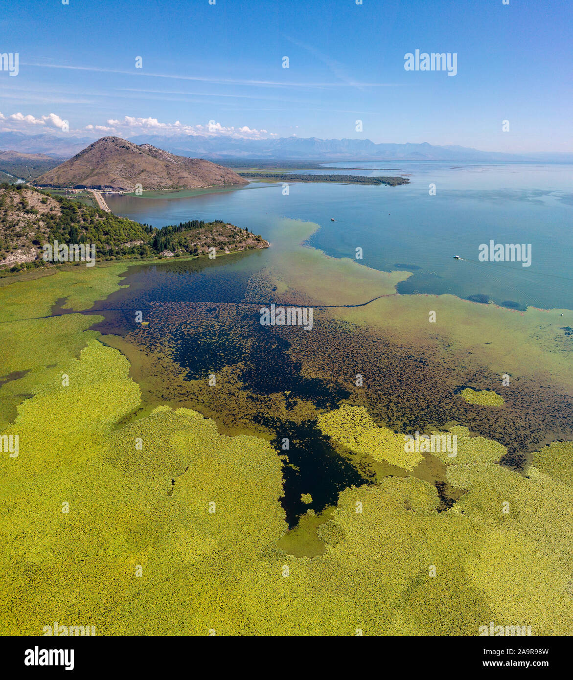 Aerial view of Lake Skadar or Lake Scutari, Montenegro. Surrounded by the national park from untouched nature and wildlife, hills and mountains Stock Photo