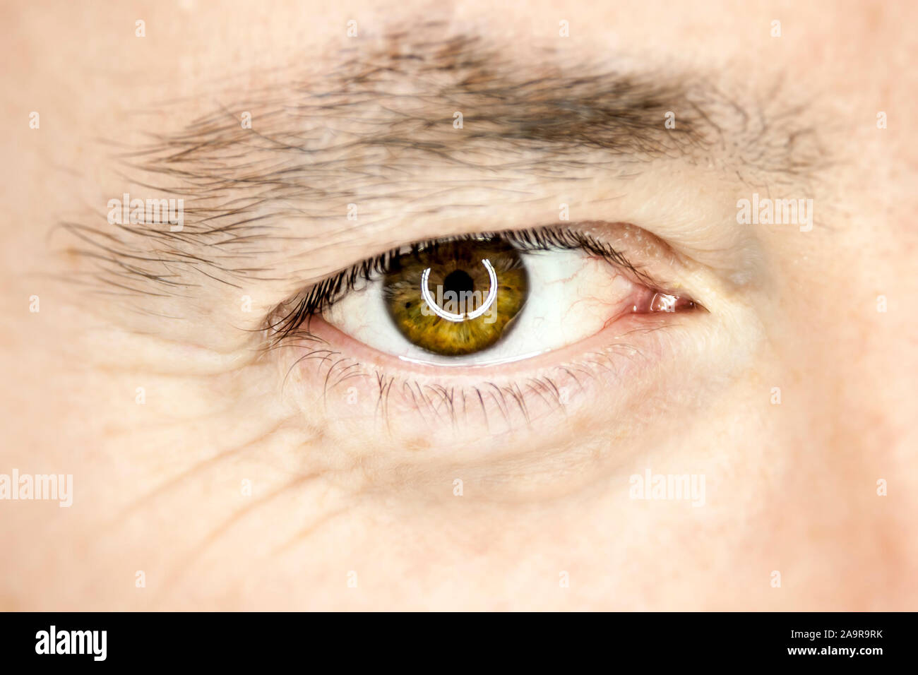 Das braune Auge eines Mannes Stock Photo