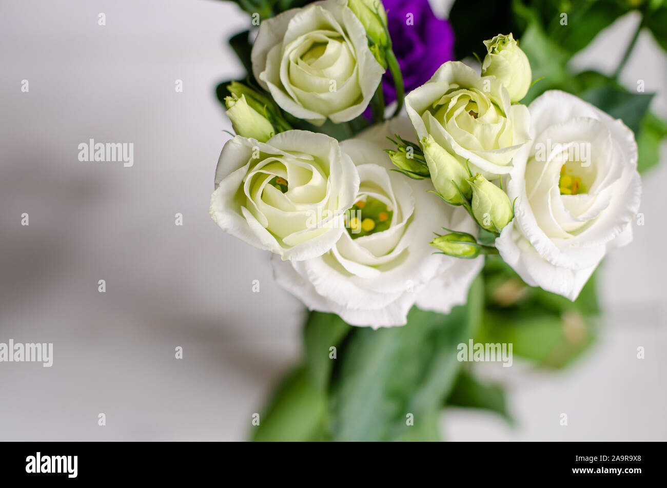 White bouquet of eustoma flowers on white background. Copy space Stock Photo