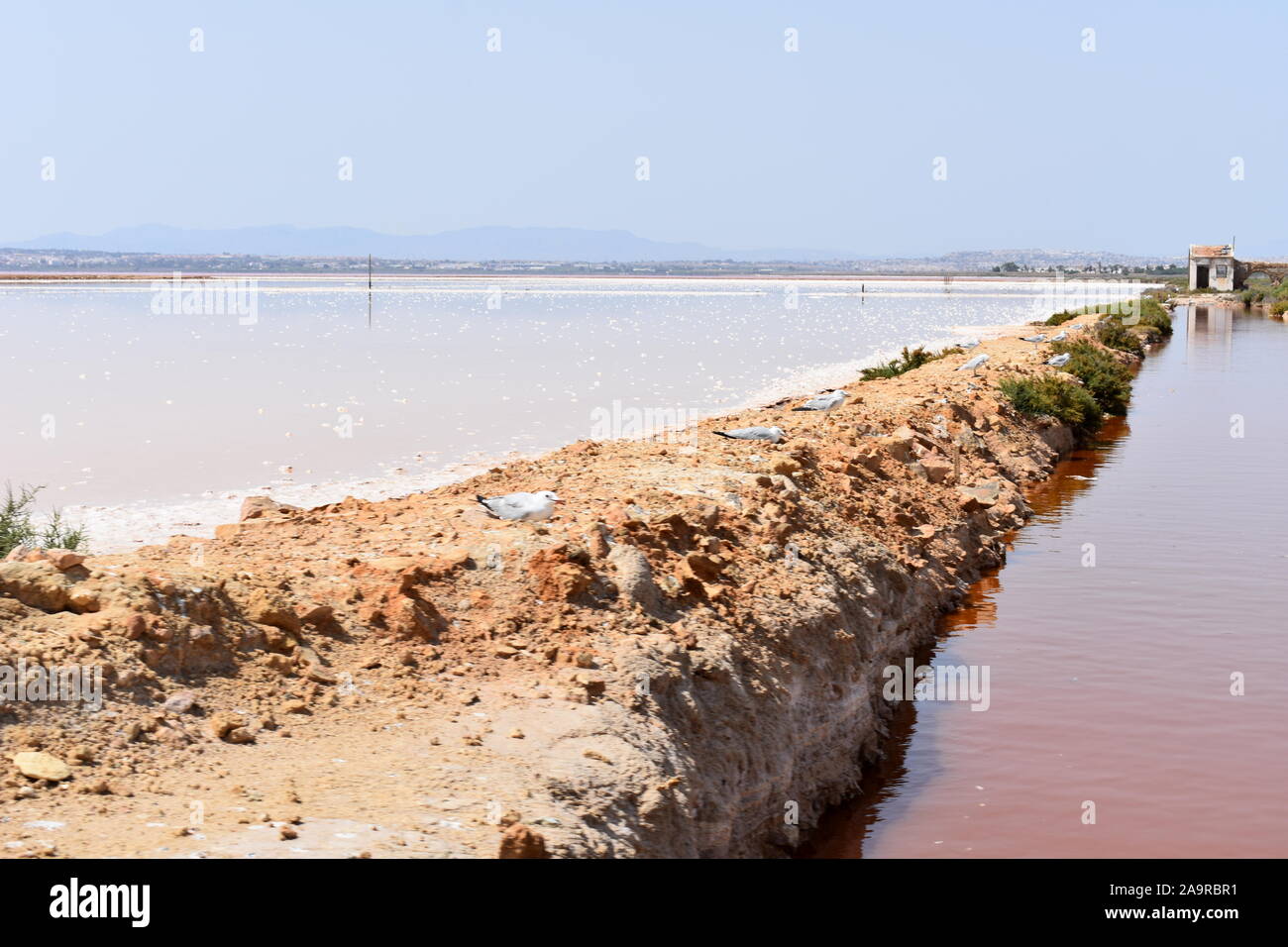 Salt lakes at the Torrevieja salt works, Torrevieja, Alicante, Spain