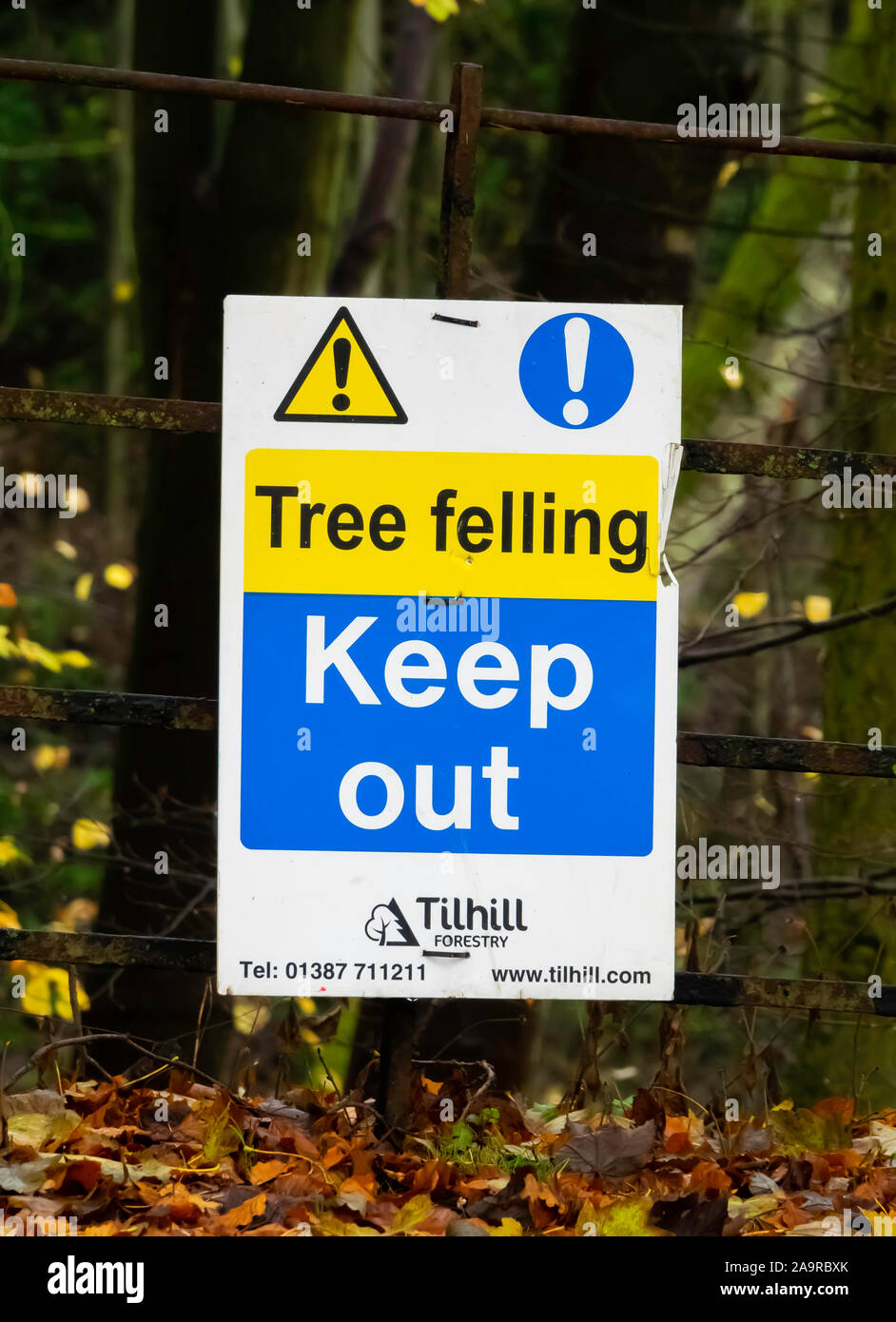 Sign warning to keep out of the woods during  tree felling Stock Photo