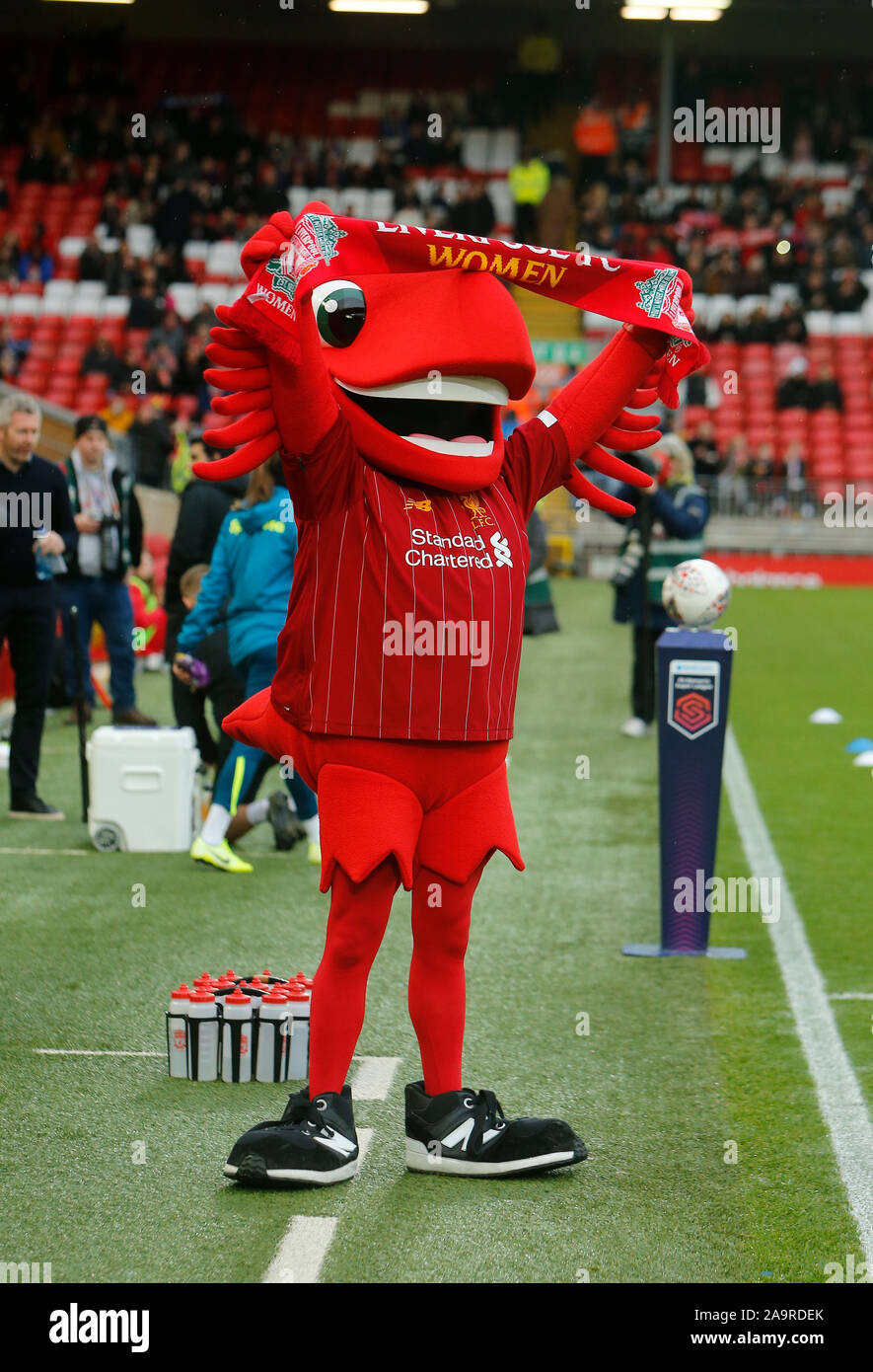 Anfield, Liverpool, Merseyside, UK. 17th Nov, 2019. Womens Super League Footballl, Liverpool Women versus Everton; Liverpool FC mascot Mighty Red before the kick off - Editorial Use Credit: Action Plus Sports/Alamy Live News Stock Photo