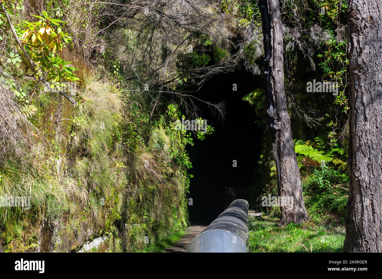The exit of the 800m long Rabacal tunnel on the levada walk to the 25 Fountains and Risco waterfall ('Levada das 25 Fontes e Cascada da Risco') Stock Photo