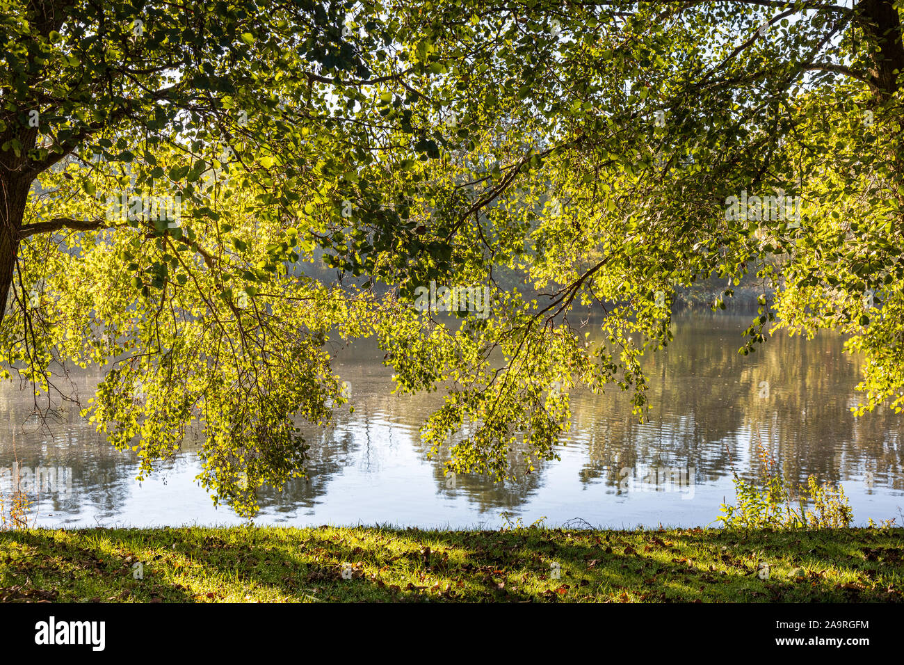 Horseshoe Lake, Yateley, Hampshire, England, UK Stock Photo