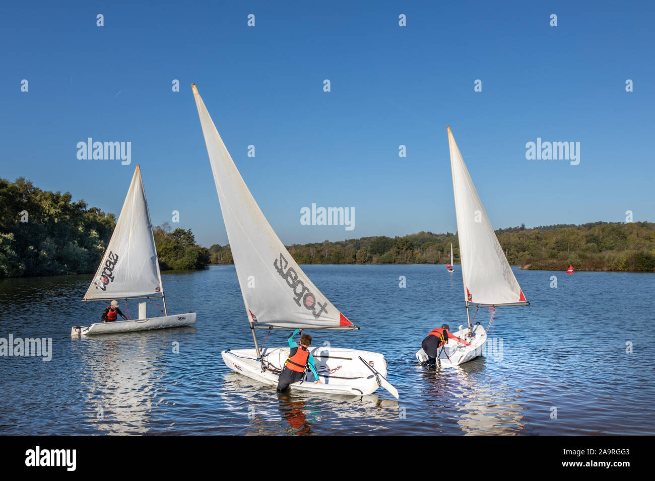 Horseshoe Lake, Yateley, Hampshire, England, UK Stock Photo Alamy