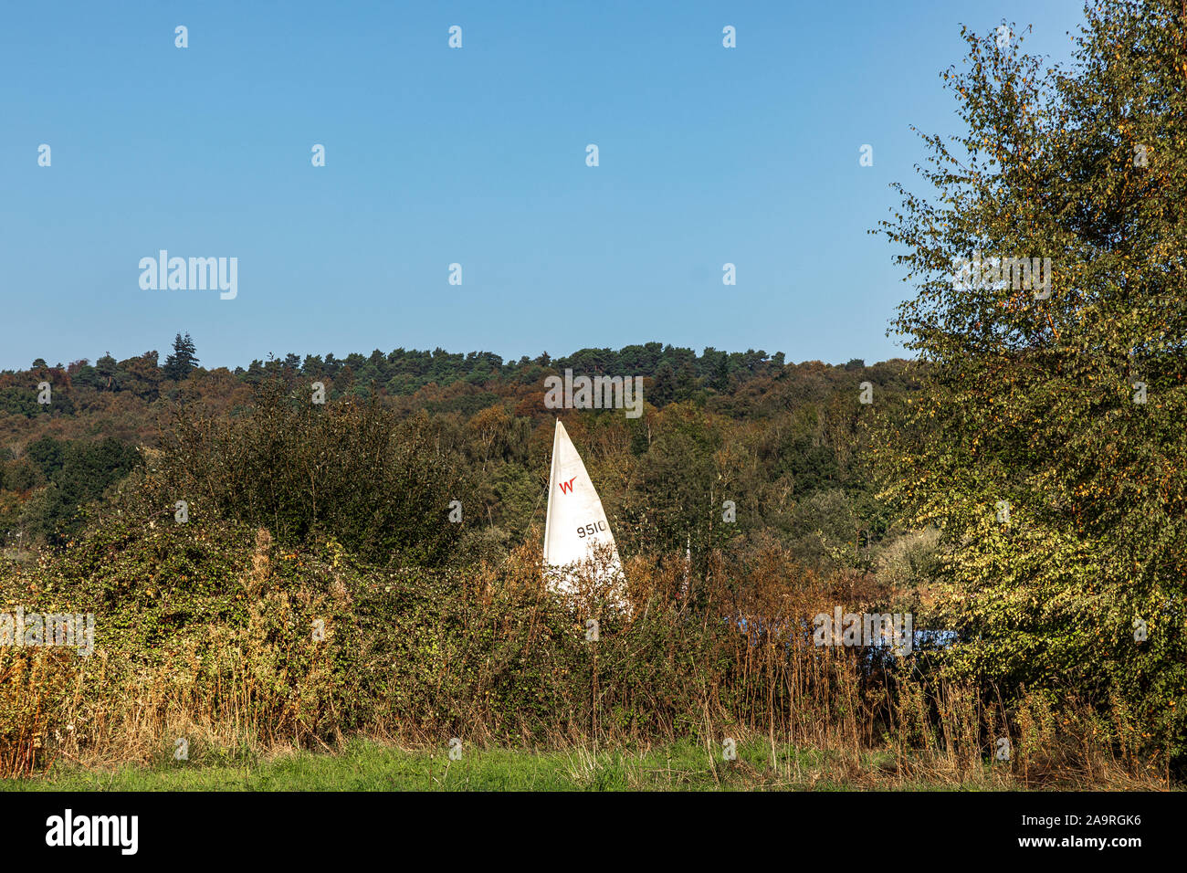 Horseshoe Lake, Yateley, Hampshire, England, UK Stock Photo Alamy