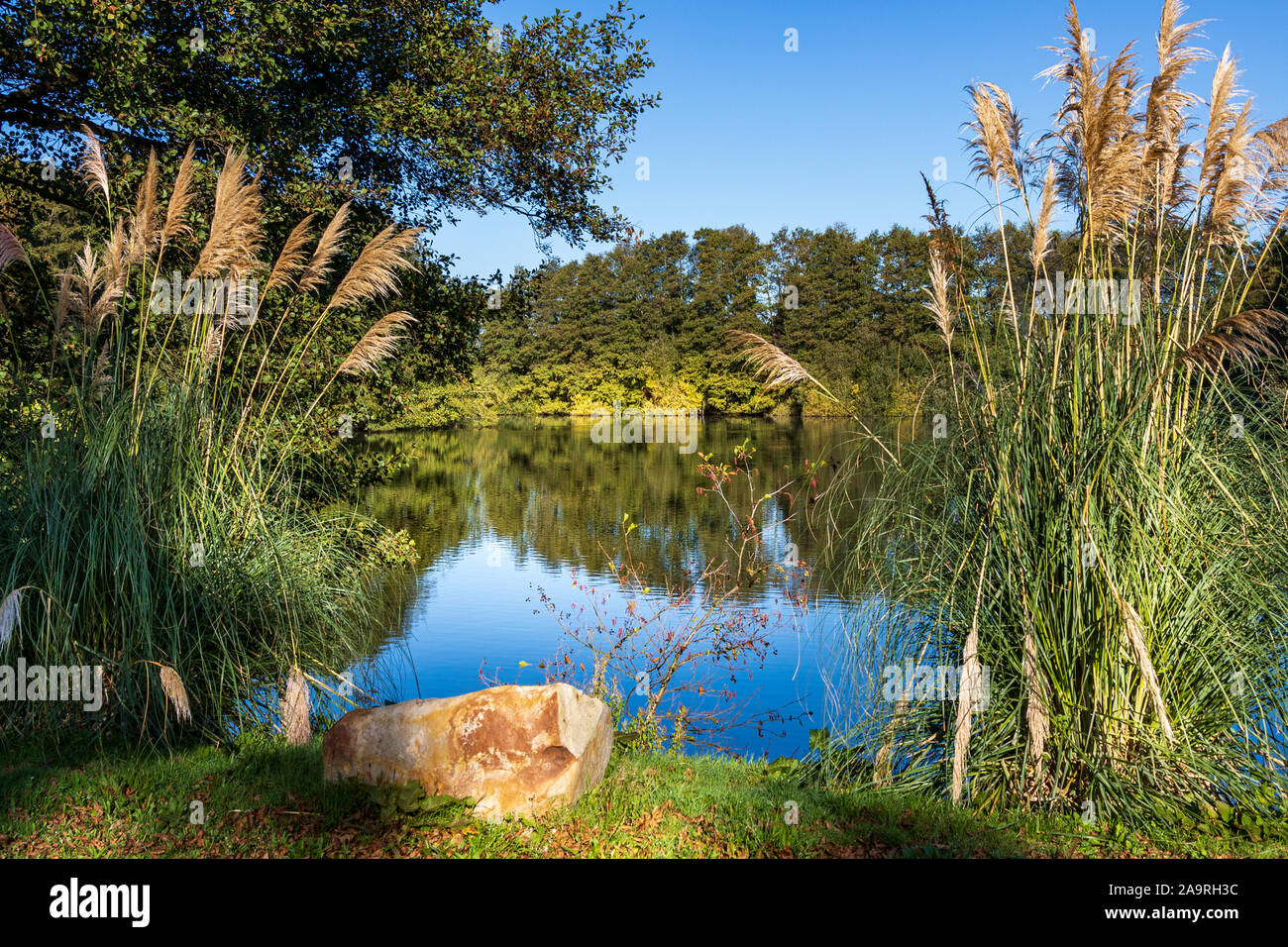 Horseshoe Lake, Yateley, Hampshire, England, UK Stock Photo Alamy