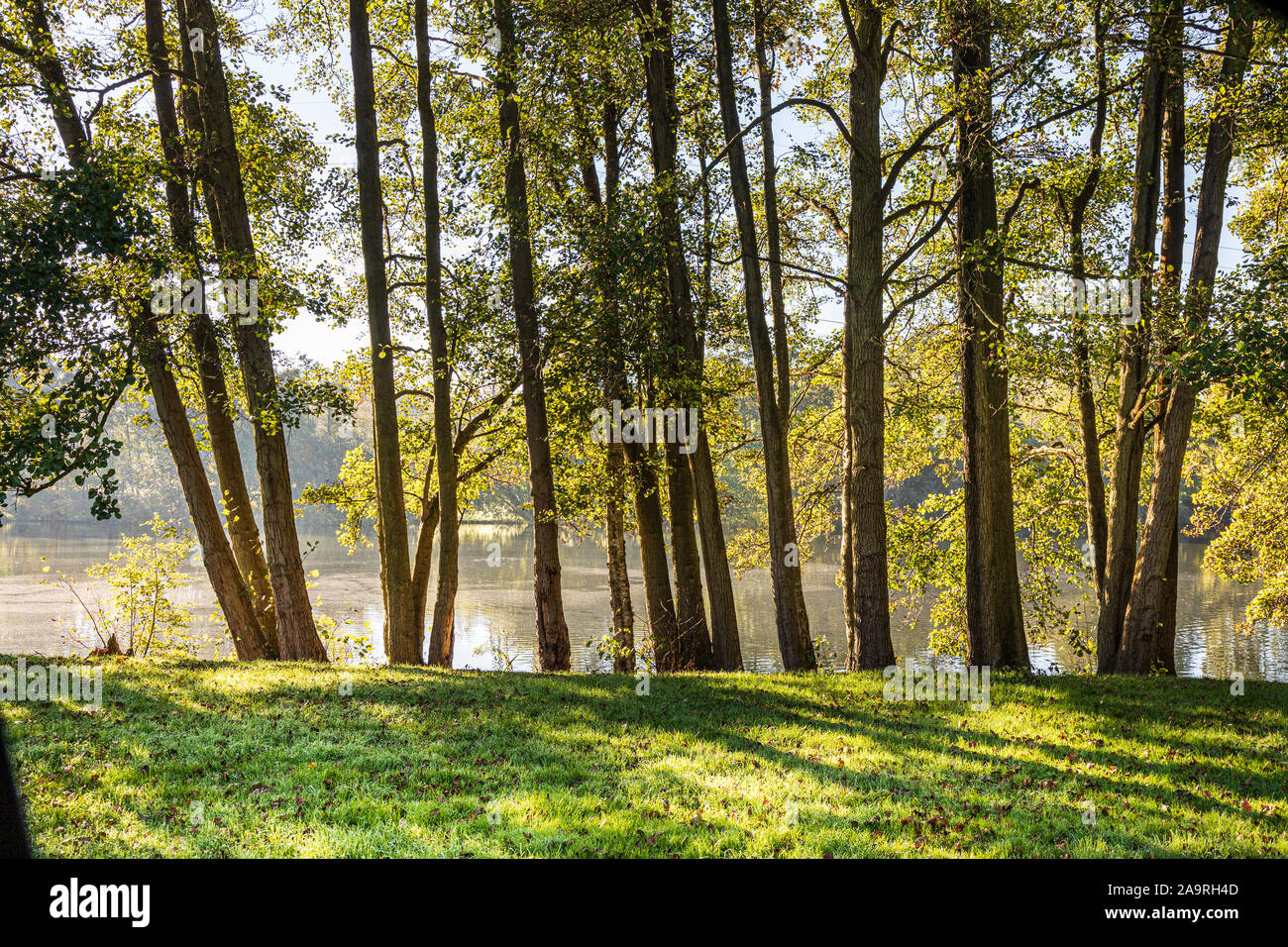 Horseshoe Lake, Yateley, Hampshire, England, UK Stock Photo Alamy